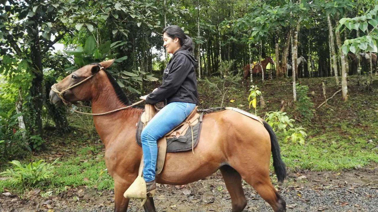 Hotel Rio Celeste Finca L' Etoile Celeste El Achiote Экстерьер фото