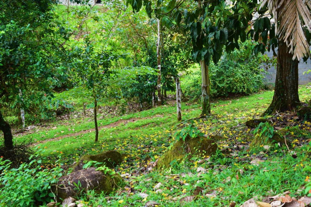 Hotel Rio Celeste Finca L' Etoile Celeste El Achiote Экстерьер фото